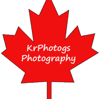 KrKPhotogs Photography Extra Segment