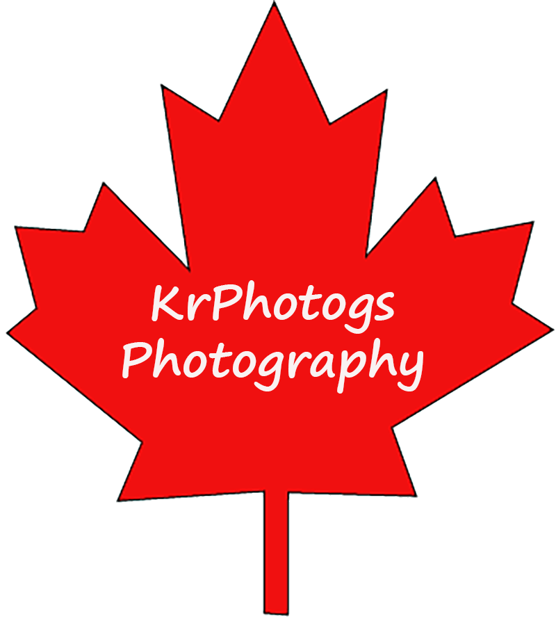 KrKPhotogs Photography Extra Segment